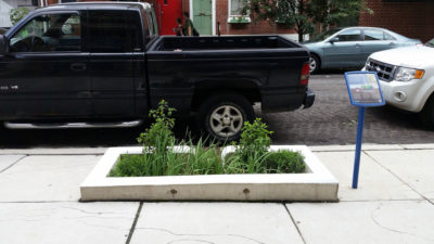 New planters on Philadelphia sidewalks capture runoff from the streets.
