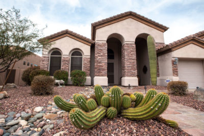 Phoenix homeowners have scrapped lawns for desert landscaping and artificial turf to reduce water use. City residents use 30 percent less water per capita than they did 20 years ago.