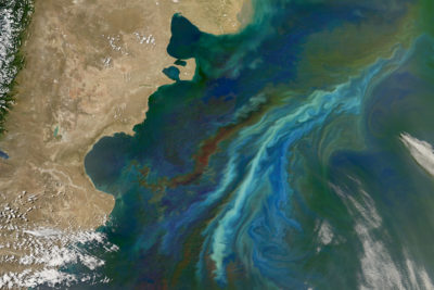 A phytoplankton bloom off the coast of Argentina.