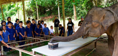 An Asian elephant uses its sense of smell to find food inside one of two boxes as part of a wildlife education program in Chiang Rai Province, Thailand.