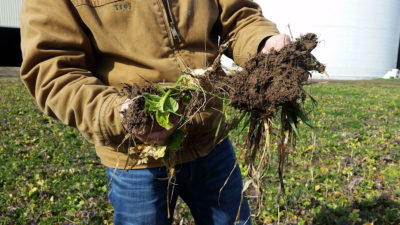Trey Hill shows off the carbon-rich soil under his crops. 