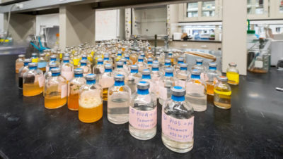 In lab tests, a relatively common soil bacterium has shown it can break down the difficult-to-remove class of pollutants called PFAS.