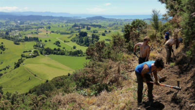 A forest restoration project on New Zealand's Golden Bay developed by Ekos, a startup creating its own proprietary biodiversity credit.