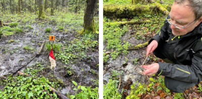 Left: A flag marks a helocrene spring in the Rhön region of Germany. Right: Stefan Zaenker takes a sample from a spring.