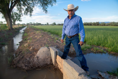 Rancher Martin Baca irrigates his hay fields with water from the Rio Grande.