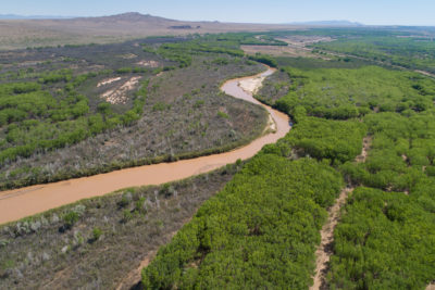 The Rio Grande runs through the Bosque del Apache National Wildlife Refuge, which is known for its sandhill crane migration.