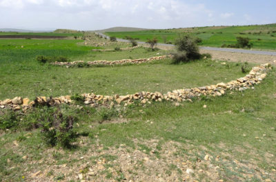 Low stone barriers built to channel runoff into cropland in Tigray, Ethiopia.