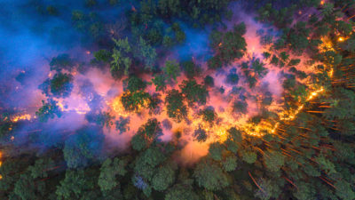 An aerial view of a forest fire in the Krasnoyarsk region of Russia.