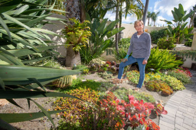 Melanie Buck tends to desert plants in her yard in Encinitas, California.