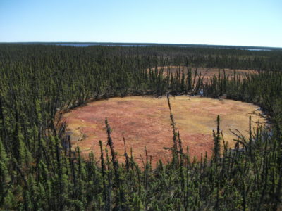 Patches of melted permafrost near the Scotty Creek Research Station in Canada’s Northwest Territories.