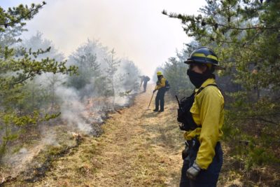 Nature Conservancy staff administer a controlled burn at their Sideling Hill Creek Preserve in western Maryland in 2021.