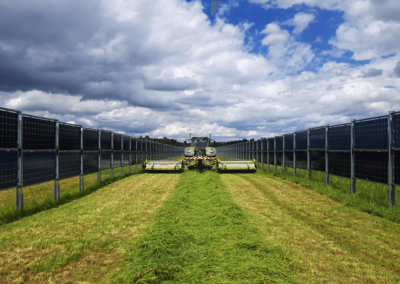 Farmers grow hay between solar fences in Donaueschingen, Germany.