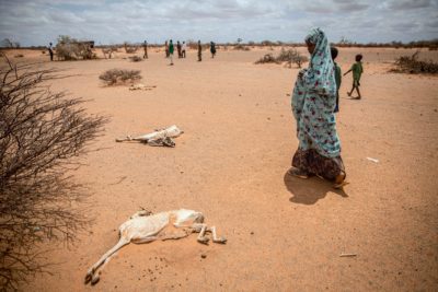 A child displaced by drought walks past a goat carcass near Dollow, Somalia on April 14, 2022.