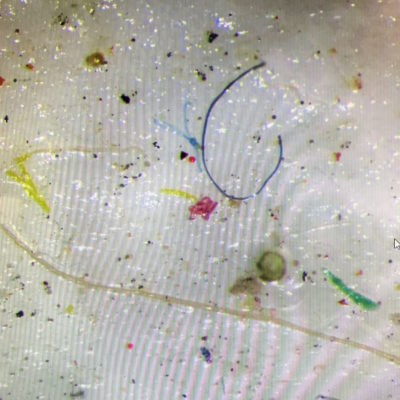 Scientists found microscopic particles of plastic trapped in sea ice.