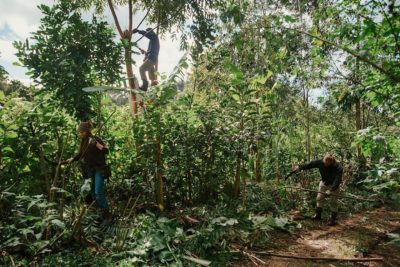 no way "syntropic" Klaus Lotz's farm in Northland, New Zealand, produces food from lush forests.