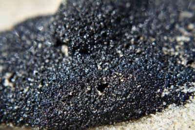 A tar ball from the BP oil spill washed ashore on a beach in Alabama.