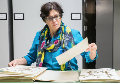 Barbara Thiers, director of the New York Botanical Garden Herbarium, looks over plant specimens.