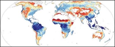 Regions where tree planting would curb warming on balance are shaded in blue, while regions where tree planting would intensify warming are shaded in red.