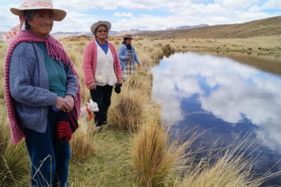 A community pond revived as part of wetlands restoration efforts in Canchayllo, in the mountains of Peru.