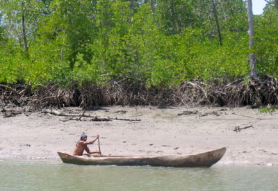 A boatman rows past mangroves in the Rufiji delta.