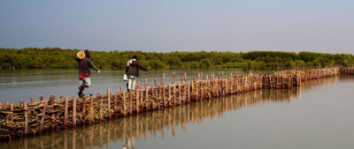 Villagers who help to build and maintain the seawalls are eligible for loans for local sustainable development projects.