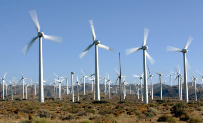A wind farm in Kern County, California, which is seeing interest in renewable energy amid the decline of oil and gas.