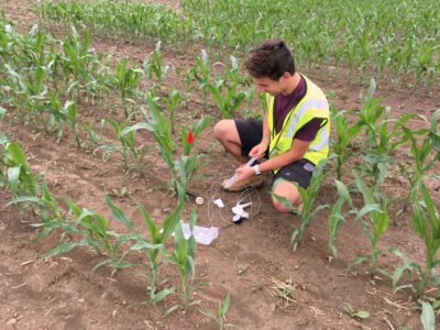 Researcher Zack Kozma (left) gathers a water sample from a field where rock dust has been added to the soil at Cornell's AgriTech Agricultural Experiment Station; a clump of soil (right) containing rock dust.