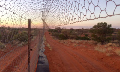 The Arid Recovery project covers 47 square miles of Australian Outback, surrounded by a 6-foot-tall fence designed to keep out feral cats and foxes.