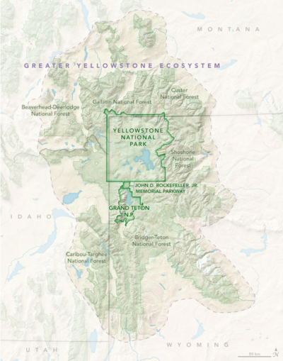 The Greater Yellowstone Ecosystem.