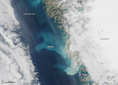 Satellite image showing sediment plumes from meltwater exiting glaciers in Greenland.