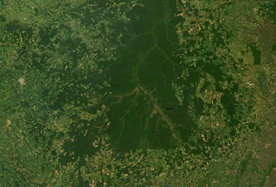 Deforestation around Brazil's Xingu National Park, May 4, 2022. Forested areas within the park appear dark green, while surrounding areas stripped of forest appear tan or light green.