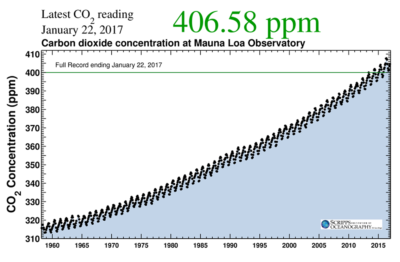 Concentrations of carbon dioxide in Earth’s atmosphere have risen rapidly since measurements began nearly 60 years ago, climbing from 316 parts per million (ppm) in 1958 to more than 400 ppm today. (Levels a few centuries ago held steady at about 280 ppm.)
