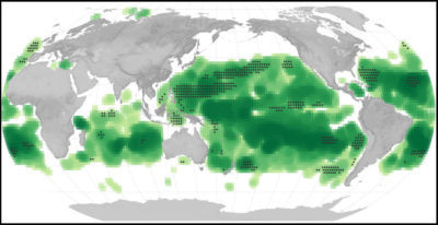 Green shading represents areas where ocean surface color has significantly changed. Black dots represent areas with a change in chlorophyll levels.