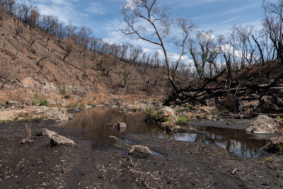 A thick layer of fire ash and sediment covers part of Mannus Creek in the Bogandyera Nature Reserve on February 24.