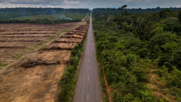 case study a kayapo swidden field in brazil's amazon region