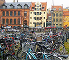 bicycles in Copenhagen