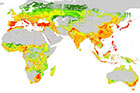 global pesticide pollution risk