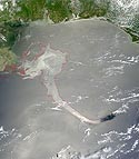 Gulf Spill