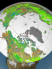 NASA Vegetation shift in northern latitudes