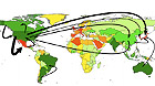 Virtual Water Global Map