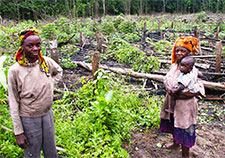 Farmers in Gabon