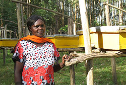Sarah Karungari with beehives