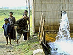 Pumping irrigation water in India