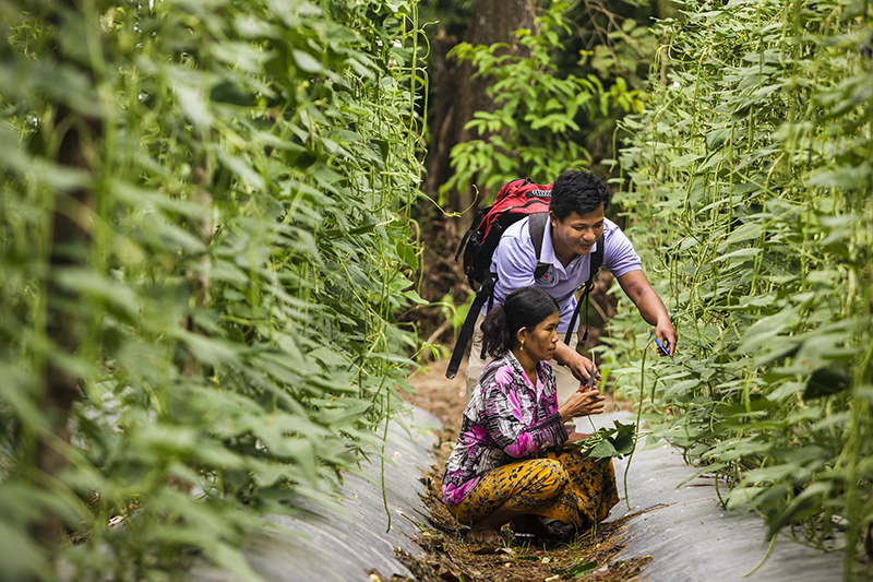 Teaching sustainable harvesting Cambodia