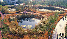 Tianjin Qiaoyuan Wetland Park