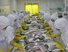 Australis aquaculture