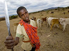 Cattle Herder Kenya