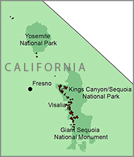 Giant Sequoia Range California