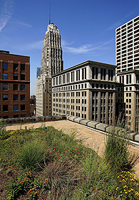 Green roof on Chicago City Hall