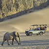 An African Success: In Namibia, the People and Wildlife Coexist